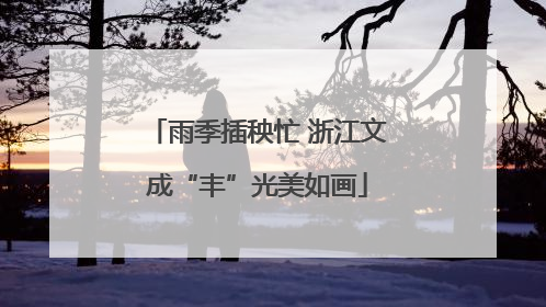 雨季插秧忙 浙江文成“丰”光美如画