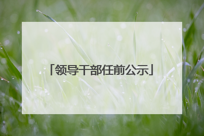 领导干部任前公示