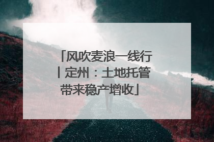 风吹麦浪一线行丨定州：土地托管带来稳产增收