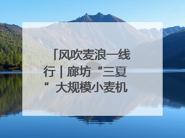 风吹麦浪一线行｜廊坊“三夏”大规模小麦机收全面开始