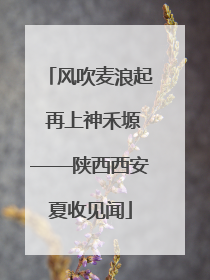 风吹麦浪起 再上神禾塬——陕西西安夏收见闻