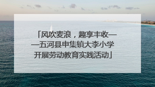 风吹麦浪，趣享丰收——五河县申集镇大李小学开展劳动教育实践活动