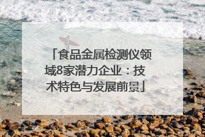 食品金属检测仪领域8家潜力企业：技术特色与发展前景