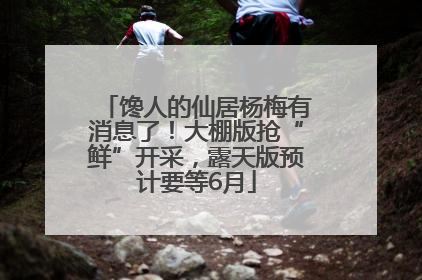 馋人的仙居杨梅有消息了！大棚版抢“鲜”开采，露天版预计要等6月