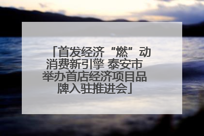 首发经济“燃”动消费新引擎 泰安市举办首店经济项目品牌入驻推进会