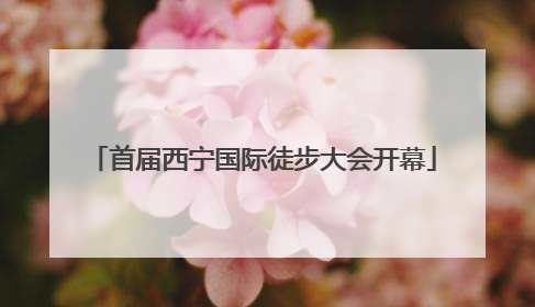 首届西宁国际徒步大会开幕