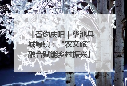 香约庆阳｜华池县城壕镇：“农文旅”融合赋能乡村振兴