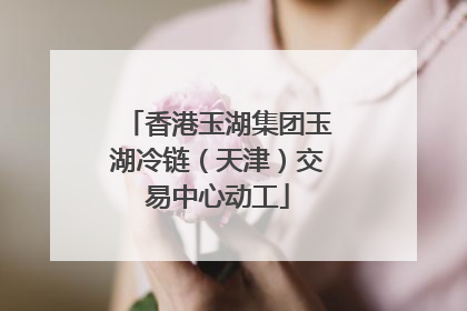 香港玉湖集团玉湖冷链（天津）交易中心动工