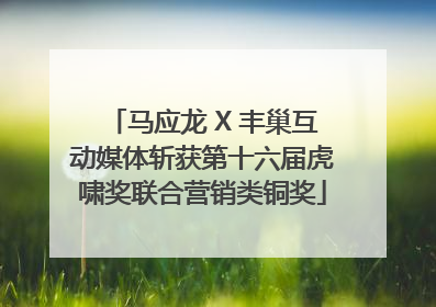 马应龙 X 丰巢互动媒体斩获第十六届虎啸奖联合营销类铜奖