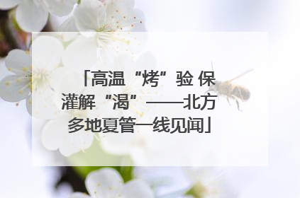 高温“烤”验 保灌解“渴”——北方多地夏管一线见闻
