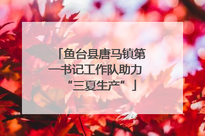 鱼台县唐马镇第一书记工作队助力“三夏生产”