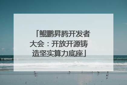 鲲鹏昇腾开发者大会：开放开源铸造坚实算力底座
