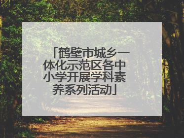 鹤壁市城乡一体化示范区各中小学开展学科素养系列活动