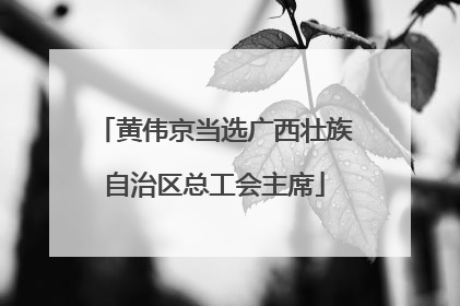 黄伟京当选广西壮族自治区总工会主席