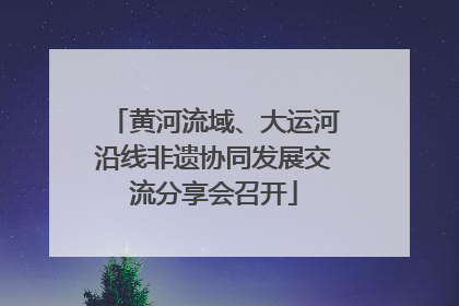 黄河流域、大运河沿线非遗协同发展交流分享会召开