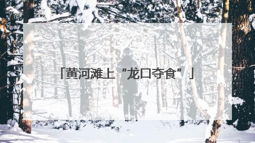 黄河滩上“龙口夺食”