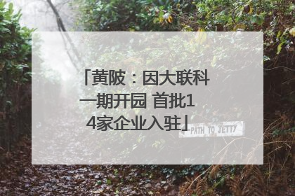 黄陂：因大联科一期开园 首批14家企业入驻