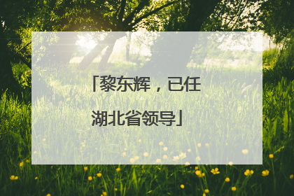 黎东辉，已任湖北省领导