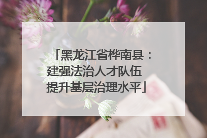 黑龙江省桦南县：建强法治人才队伍 提升基层治理水平