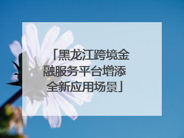 黑龙江跨境金融服务平台增添全新应用场景