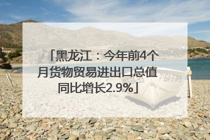 黑龙江：今年前4个月货物贸易进出口总值同比增长2.9%