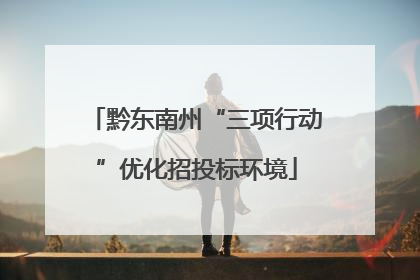 黔东南州“三项行动”优化招投标环境