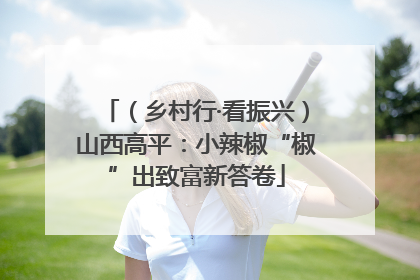 （乡村行·看振兴）山西高平：小辣椒“椒”出致富新答卷