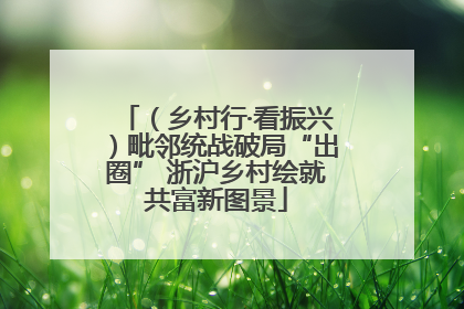 （乡村行·看振兴）毗邻统战破局“出圈” 浙沪乡村绘就共富新图景