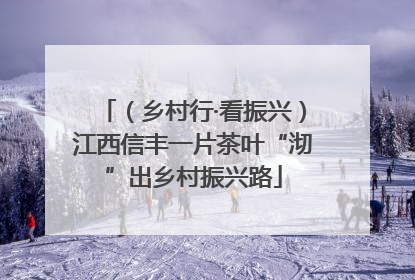 （乡村行·看振兴）江西信丰一片茶叶“沏”出乡村振兴路