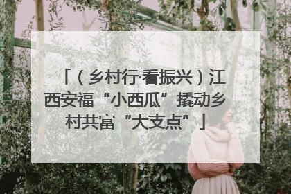 （乡村行·看振兴）江西安福“小西瓜”撬动乡村共富“大支点”