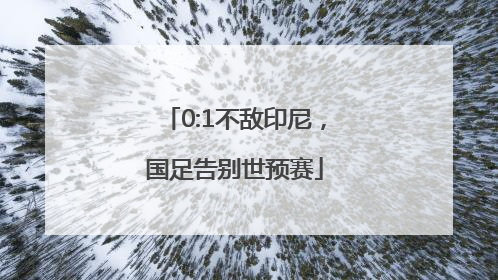 0:1不敌印尼，国足告别世预赛