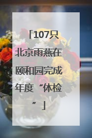 107只北京雨燕在颐和园完成年度“体检”