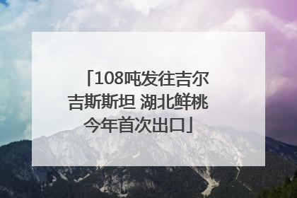 108吨发往吉尔吉斯斯坦 湖北鲜桃今年首次出口