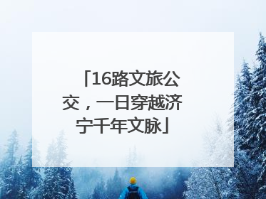 16路文旅公交，一日穿越济宁千年文脉