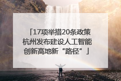 17项举措20条政策 杭州发布建设人工智能创新高地新“路径”