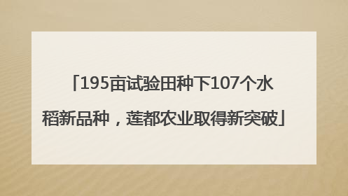 195亩试验田种下107个水稻新品种，莲都农业取得新突破
