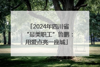 2024年四川省“最美职工”鲁鹏：用爱点亮一座城