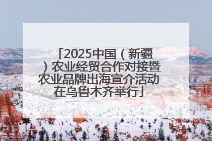 2025中国（新疆）农业经贸合作对接暨农业品牌出海宣介活动在乌鲁木齐举行
