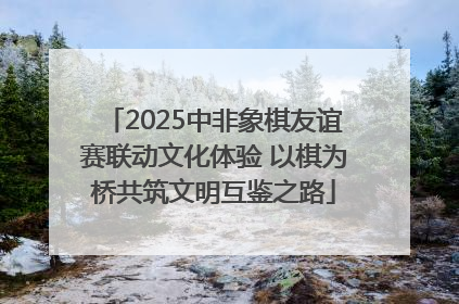 2025中非象棋友谊赛联动文化体验 以棋为桥共筑文明互鉴之路
