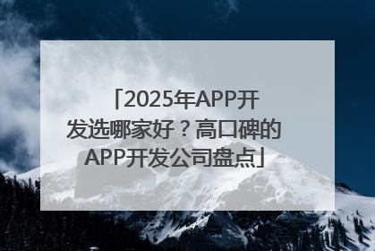 2025年APP开发选哪家好？高口碑的APP开发公司盘点