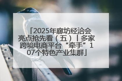 2025年廊坊经洽会亮点抢先看（五）丨多家跨境电商平台“牵手”107个特色产业集群