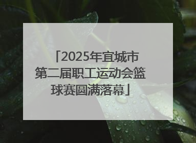 2025年宜城市第二届职工运动会篮球赛圆满落幕
