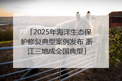 2025年海洋生态保护修复典型案例发布 浙江三地成全国典型