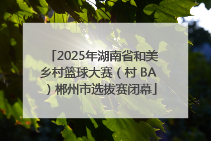 2025年湖南省和美乡村篮球大赛（村 BA）郴州市选拔赛闭幕