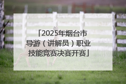 2025年烟台市导游（讲解员）职业技能竞赛决赛开赛