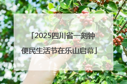 2025四川省一刻钟便民生活节在乐山启幕