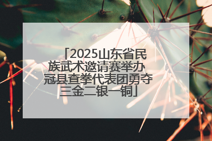 2025山东省民族武术邀请赛举办 冠县查拳代表团勇夺三金二银一铜
