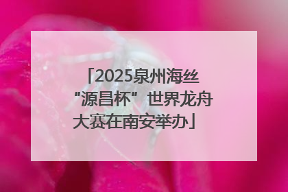 2025泉州海丝“源昌杯”世界龙舟大赛在南安举办
