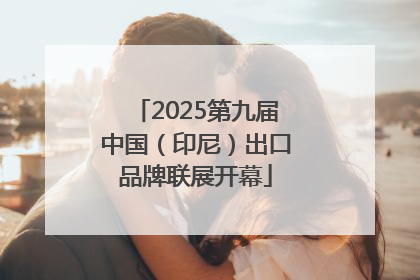 2025第九届中国（印尼）出口品牌联展开幕