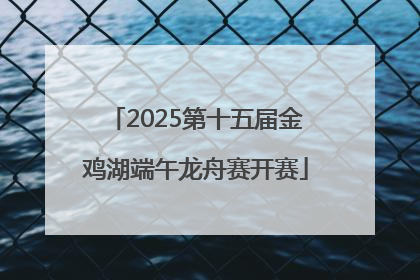 2025第十五届金鸡湖端午龙舟赛开赛